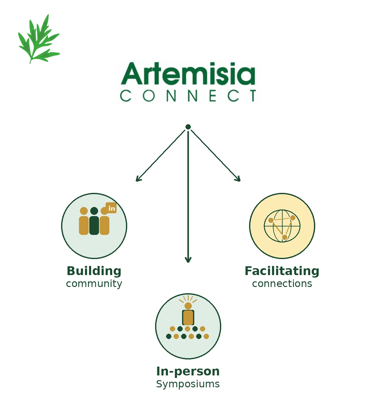 Artemisia Connect activities: Webinars every few months, Online Session September 2026, 2nd International Symposium September 6-8 2027 Tenerife